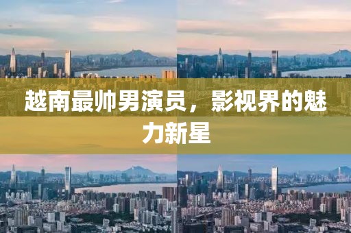 越南最帥男演員，影視界的魅力新星