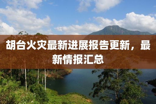 胡臺火災最新進展報告更新，最新情報匯總