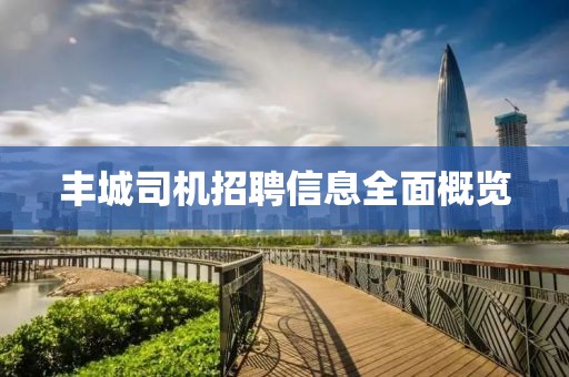 豐城司機招聘信息全面概覽
