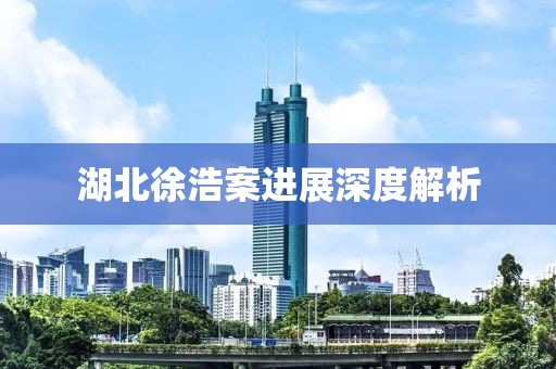 湖北徐浩案進展深度解析