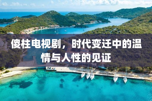 傻柱電視劇，時(shí)代變遷中的溫情與人性的見證