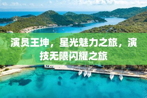 演員王坤，星光魅力之旅，演技無限閃耀之旅