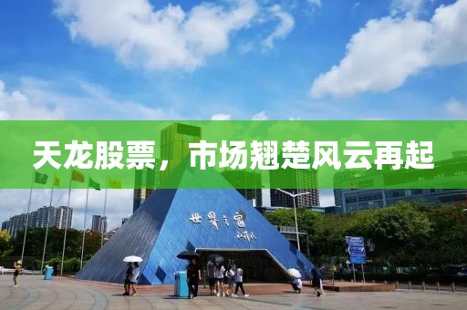 天龍股票，市場(chǎng)翹楚風(fēng)云再起