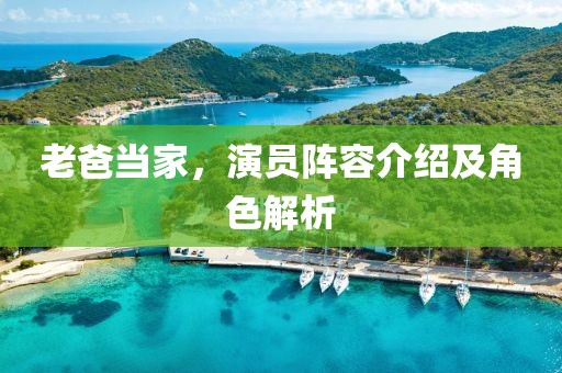 老爸當家，演員陣容介紹及角色解析
