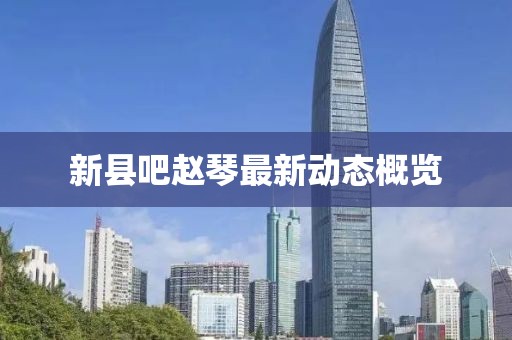 新縣吧趙琴最新動態(tài)概覽