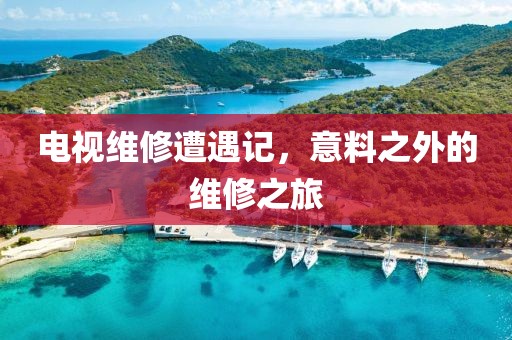 電視維修遭遇記，意料之外的維修之旅
