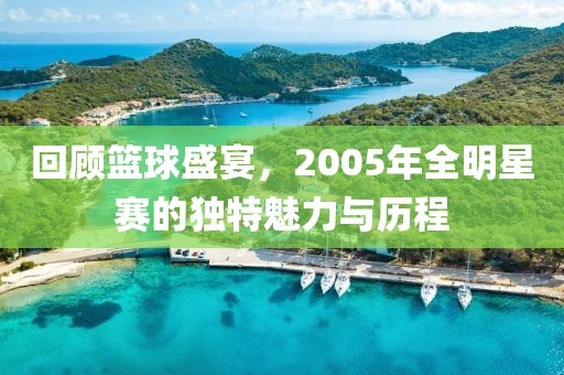 回顧籃球盛宴，2005年全明星賽的獨(dú)特魅力與歷程