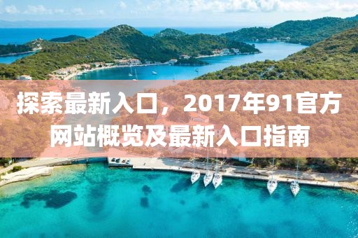 探索最新入口，2017年91官方網(wǎng)站概覽及最新入口指南