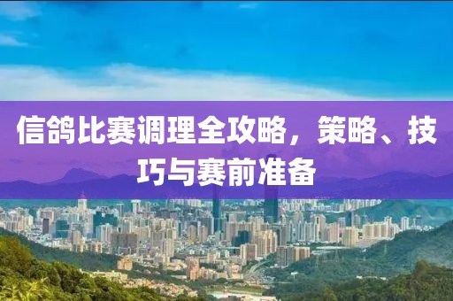 信鴿比賽調(diào)理全攻略，策略、技巧與賽前準(zhǔn)備
