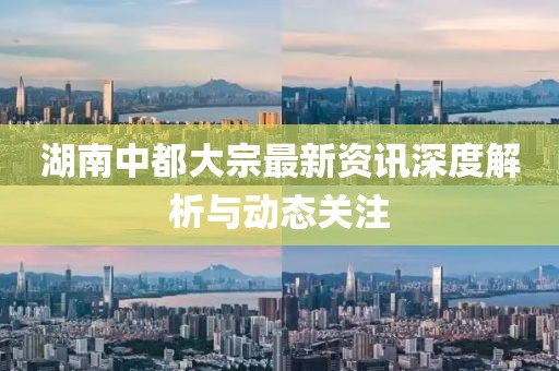 湖南中都大宗最新資訊深度解析與動態(tài)關注
