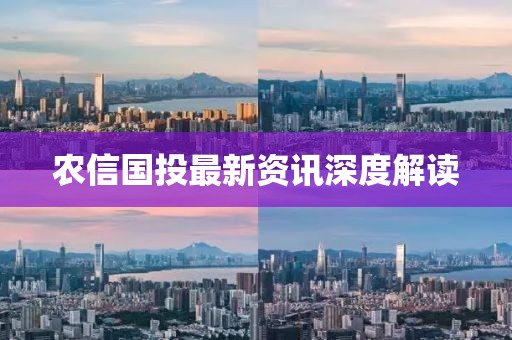 農(nóng)信國投最新資訊深度解讀