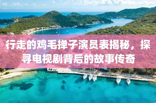 行走的雞毛撣子演員表揭秘，探尋電視劇背后的故事傳奇