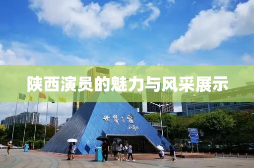 陜西演員的魅力與風(fēng)采展示
