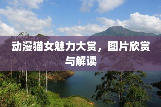 動(dòng)漫貓女魅力大賞，圖片欣賞與解讀