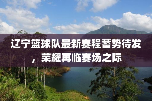 遼寧籃球隊(duì)最新賽程蓄勢待發(fā)，榮耀再臨賽場之際