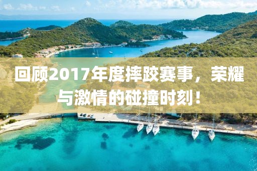 回顧2017年度摔跤賽事，榮耀與激情的碰撞時刻！