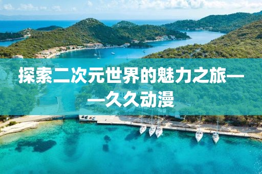 探索二次元世界的魅力之旅——久久動(dòng)漫