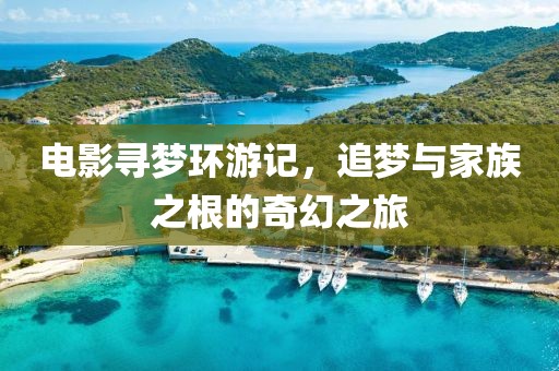 電影尋夢環(huán)游記，追夢與家族之根的奇幻之旅