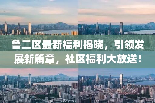 魯二區(qū)最新福利揭曉，引領發(fā)展新篇章，社區(qū)福利大放送！