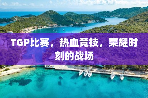 TGP比賽，熱血競技，榮耀時(shí)刻的戰(zhàn)場