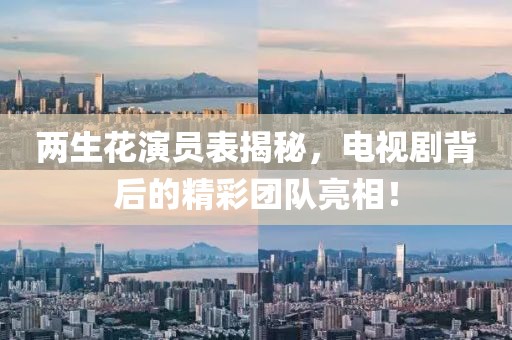 兩生花演員表揭秘，電視劇背后的精彩團(tuán)隊(duì)亮相！