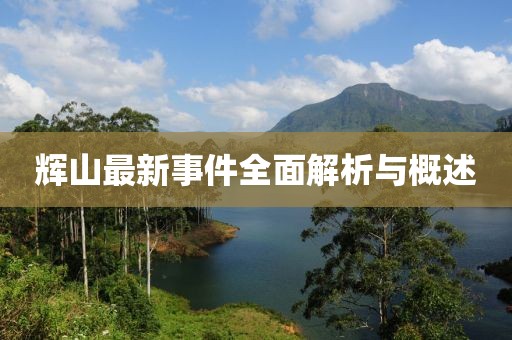輝山最新事件全面解析與概述
