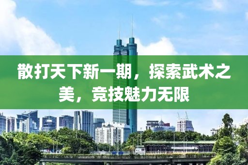 散打天下新一期，探索武術(shù)之美，競技魅力無限