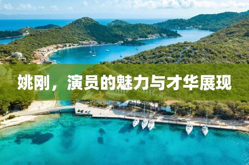 姚剛，演員的魅力與才華展現(xiàn)