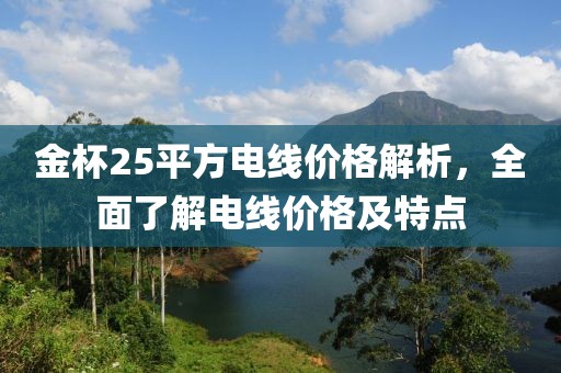 金杯25平方電線價(jià)格解析，全面了解電線價(jià)格及特點(diǎn)