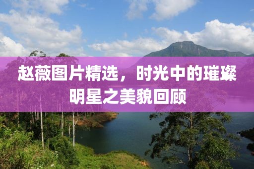 趙薇圖片精選，時(shí)光中的璀璨明星之美貌回顧