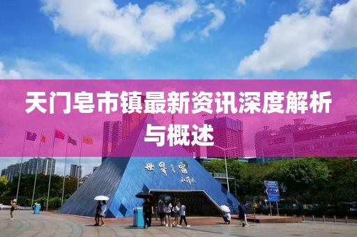 天門皂市鎮(zhèn)最新資訊深度解析與概述