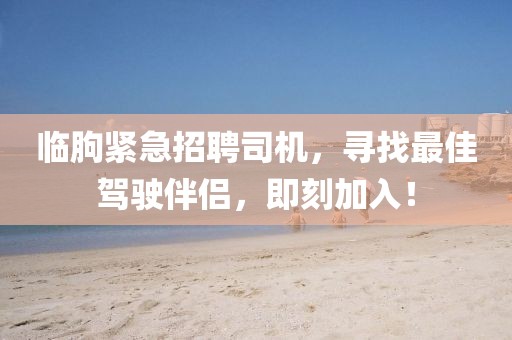 臨朐緊急招聘司機(jī)，尋找最佳駕駛伴侶，即刻加入！