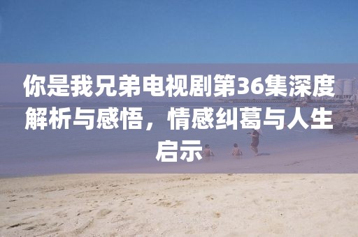 你是我兄弟電視劇第36集深度解析與感悟，情感糾葛與人生啟示