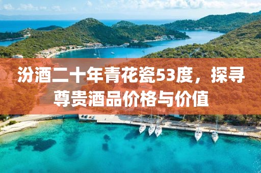 汾酒二十年青花瓷53度，探尋尊貴酒品價格與價值