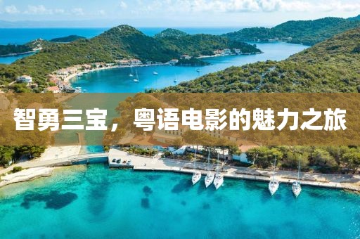 智勇三寶，粵語電影的魅力之旅