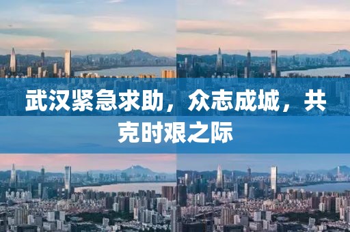 武漢緊急求助，眾志成城，共克時(shí)艱之際