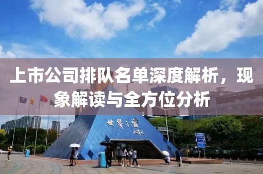 上市公司排隊(duì)名單深度解析，現(xiàn)象解讀與全方位分析