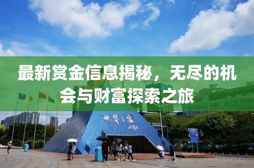 最新賞金信息揭秘，無盡的機(jī)會(huì)與財(cái)富探索之旅