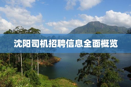 沈陽司機招聘信息全面概覽