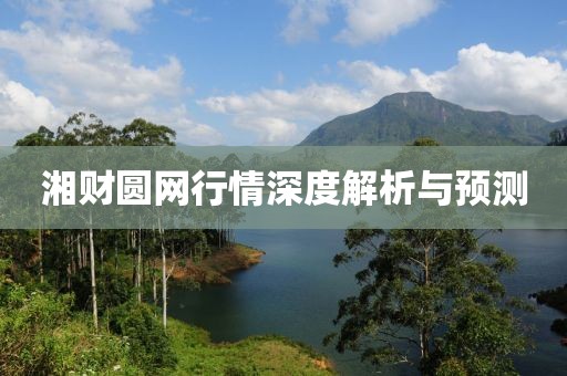 湘財圓網(wǎng)行情深度解析與預(yù)測