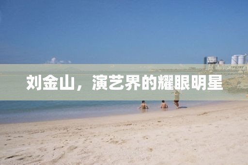 劉金山，演藝界的耀眼明星