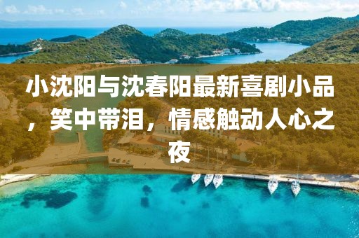 小沈陽與沈春陽最新喜劇小品，笑中帶淚，情感觸動人心之夜