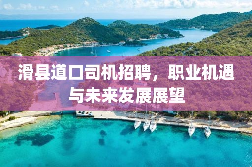 滑縣道口司機招聘，職業(yè)機遇與未來發(fā)展展望