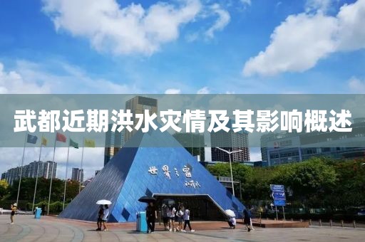 武都近期洪水災(zāi)情及其影響概述