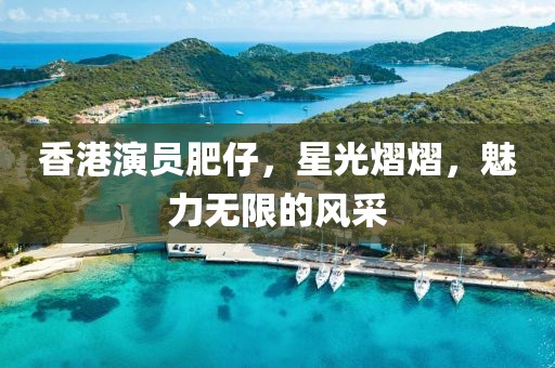 香港演員肥仔，星光熠熠，魅力無(wú)限的風(fēng)采
