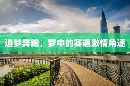 追夢奔跑，夢中的賽道激情角逐