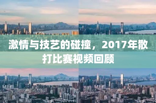 激情與技藝的碰撞，2017年散打比賽視頻回顧