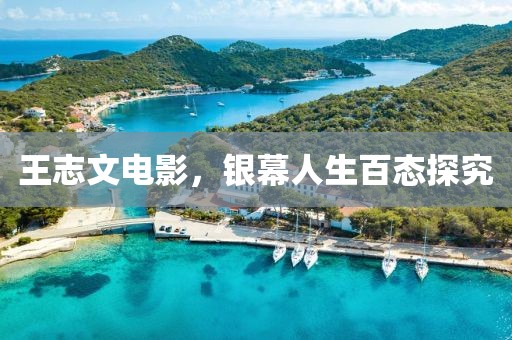 王志文電影，銀幕人生百態(tài)探究