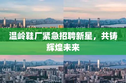 溫嶺鞋廠緊急招聘新星，共鑄輝煌未來(lái)