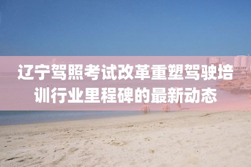 遼寧駕照考試改革重塑駕駛培訓(xùn)行業(yè)里程碑的最新動態(tài)